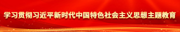 www.鸡吧免费在线播放学习贯彻习近平新时代中国特色社会主义思想主题教育